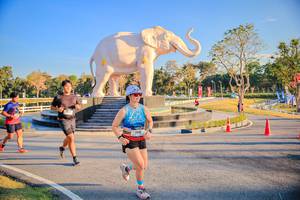 BIB: 
                            <button type="button" onclick="openModal(26186609)" class="btn btn-primary btn-sm float-right btn-popup" data-toggle="modal" data-target=".modal-high-quality">
                        <i class="fas fa-shopping-cart"></i> Add to Cart
                    </button>
                                            <button type="button" onclick="isThisMe(26186609, true)" class="btn btn-success btn-sm float-right btn-popup btn-isme hidden" data-toggle="tooltip" data-placement="bottom" title="นี่คือรูปของคุณใช่ไหม คลิกที่นี่เพื่อเอาเข้าอัลบั้ม">
                        <i class="fas fa-plus"></i> Add to album
                    </button>
                    <button type="button" onclick="isThisMe(26186609, false)" class="btn btn-warning btn-sm float-right btn-popup btn-isnotme hidden">
                        <i class="fas fa-ban"></i> Remove from album
                    </button>