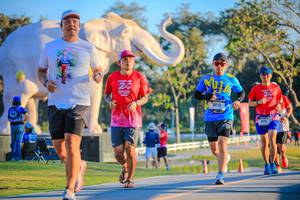 BIB: 
                            <button type="button" onclick="openModal(26183685)" class="btn btn-primary btn-sm float-right btn-popup" data-toggle="modal" data-target=".modal-high-quality">
                        <i class="fas fa-shopping-cart"></i> Add to Cart
                    </button>
                                            <button type="button" onclick="isThisMe(26183685, true)" class="btn btn-success btn-sm float-right btn-popup btn-isme hidden" data-toggle="tooltip" data-placement="bottom" title="นี่คือรูปของคุณใช่ไหม คลิกที่นี่เพื่อเอาเข้าอัลบั้ม">
                        <i class="fas fa-plus"></i> Add to album
                    </button>
                    <button type="button" onclick="isThisMe(26183685, false)" class="btn btn-warning btn-sm float-right btn-popup btn-isnotme hidden">
                        <i class="fas fa-ban"></i> Remove from album
                    </button>