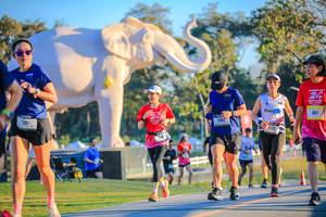 BIB: 
                            <button type="button" onclick="openModal(26183616)" class="btn btn-primary btn-sm float-right btn-popup" data-toggle="modal" data-target=".modal-high-quality">
                        <i class="fas fa-shopping-cart"></i> Add to Cart
                    </button>
                                            <button type="button" onclick="isThisMe(26183616, true)" class="btn btn-success btn-sm float-right btn-popup btn-isme hidden" data-toggle="tooltip" data-placement="bottom" title="นี่คือรูปของคุณใช่ไหม คลิกที่นี่เพื่อเอาเข้าอัลบั้ม">
                        <i class="fas fa-plus"></i> Add to album
                    </button>
                    <button type="button" onclick="isThisMe(26183616, false)" class="btn btn-warning btn-sm float-right btn-popup btn-isnotme hidden">
                        <i class="fas fa-ban"></i> Remove from album
                    </button>