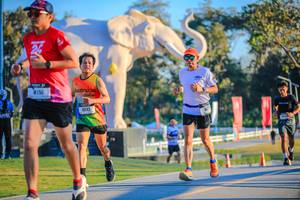 BIB: 
                            <button type="button" onclick="openModal(26183599)" class="btn btn-primary btn-sm float-right btn-popup" data-toggle="modal" data-target=".modal-high-quality">
                        <i class="fas fa-shopping-cart"></i> Add to Cart
                    </button>
                                            <button type="button" onclick="isThisMe(26183599, true)" class="btn btn-success btn-sm float-right btn-popup btn-isme hidden" data-toggle="tooltip" data-placement="bottom" title="นี่คือรูปของคุณใช่ไหม คลิกที่นี่เพื่อเอาเข้าอัลบั้ม">
                        <i class="fas fa-plus"></i> Add to album
                    </button>
                    <button type="button" onclick="isThisMe(26183599, false)" class="btn btn-warning btn-sm float-right btn-popup btn-isnotme hidden">
                        <i class="fas fa-ban"></i> Remove from album
                    </button>