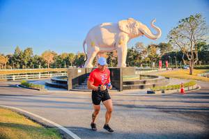 BIB: 
                            <button type="button" onclick="openModal(26186664)" class="btn btn-primary btn-sm float-right btn-popup" data-toggle="modal" data-target=".modal-high-quality">
                        <i class="fas fa-shopping-cart"></i> Add to Cart
                    </button>
                                            <button type="button" onclick="isThisMe(26186664, true)" class="btn btn-success btn-sm float-right btn-popup btn-isme hidden" data-toggle="tooltip" data-placement="bottom" title="นี่คือรูปของคุณใช่ไหม คลิกที่นี่เพื่อเอาเข้าอัลบั้ม">
                        <i class="fas fa-plus"></i> Add to album
                    </button>
                    <button type="button" onclick="isThisMe(26186664, false)" class="btn btn-warning btn-sm float-right btn-popup btn-isnotme hidden">
                        <i class="fas fa-ban"></i> Remove from album
                    </button>