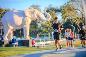 BIB: 
                            <button type="button" onclick="openModal(26183747)" class="btn btn-primary btn-sm float-right btn-popup" data-toggle="modal" data-target=".modal-high-quality">
                        <i class="fas fa-shopping-cart"></i> Add to Cart
                    </button>
                                            <button type="button" onclick="isThisMe(26183747, true)" class="btn btn-success btn-sm float-right btn-popup btn-isme hidden" data-toggle="tooltip" data-placement="bottom" title="นี่คือรูปของคุณใช่ไหม คลิกที่นี่เพื่อเอาเข้าอัลบั้ม">
                        <i class="fas fa-plus"></i> Add to album
                    </button>
                    <button type="button" onclick="isThisMe(26183747, false)" class="btn btn-warning btn-sm float-right btn-popup btn-isnotme hidden">
                        <i class="fas fa-ban"></i> Remove from album
                    </button>