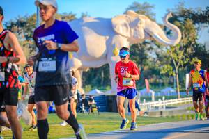 BIB: 
                            <button type="button" onclick="openModal(26183640)" class="btn btn-primary btn-sm float-right btn-popup" data-toggle="modal" data-target=".modal-high-quality">
                        <i class="fas fa-shopping-cart"></i> Add to Cart
                    </button>
                                            <button type="button" onclick="isThisMe(26183640, true)" class="btn btn-success btn-sm float-right btn-popup btn-isme hidden" data-toggle="tooltip" data-placement="bottom" title="นี่คือรูปของคุณใช่ไหม คลิกที่นี่เพื่อเอาเข้าอัลบั้ม">
                        <i class="fas fa-plus"></i> Add to album
                    </button>
                    <button type="button" onclick="isThisMe(26183640, false)" class="btn btn-warning btn-sm float-right btn-popup btn-isnotme hidden">
                        <i class="fas fa-ban"></i> Remove from album
                    </button>