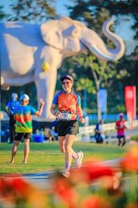 BIB: 
                            <button type="button" onclick="openModal(26183920)" class="btn btn-primary btn-sm float-right btn-popup" data-toggle="modal" data-target=".modal-high-quality">
                        <i class="fas fa-shopping-cart"></i> Add to Cart
                    </button>
                                            <button type="button" onclick="isThisMe(26183920, true)" class="btn btn-success btn-sm float-right btn-popup btn-isme hidden" data-toggle="tooltip" data-placement="bottom" title="นี่คือรูปของคุณใช่ไหม คลิกที่นี่เพื่อเอาเข้าอัลบั้ม">
                        <i class="fas fa-plus"></i> Add to album
                    </button>
                    <button type="button" onclick="isThisMe(26183920, false)" class="btn btn-warning btn-sm float-right btn-popup btn-isnotme hidden">
                        <i class="fas fa-ban"></i> Remove from album
                    </button>