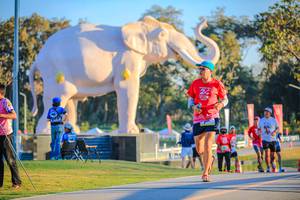 BIB: 
                            <button type="button" onclick="openModal(26183681)" class="btn btn-primary btn-sm float-right btn-popup" data-toggle="modal" data-target=".modal-high-quality">
                        <i class="fas fa-shopping-cart"></i> Add to Cart
                    </button>
                                            <button type="button" onclick="isThisMe(26183681, true)" class="btn btn-success btn-sm float-right btn-popup btn-isme hidden" data-toggle="tooltip" data-placement="bottom" title="นี่คือรูปของคุณใช่ไหม คลิกที่นี่เพื่อเอาเข้าอัลบั้ม">
                        <i class="fas fa-plus"></i> Add to album
                    </button>
                    <button type="button" onclick="isThisMe(26183681, false)" class="btn btn-warning btn-sm float-right btn-popup btn-isnotme hidden">
                        <i class="fas fa-ban"></i> Remove from album
                    </button>