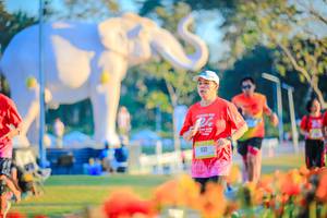 BIB: 
                            <button type="button" onclick="openModal(26183967)" class="btn btn-primary btn-sm float-right btn-popup" data-toggle="modal" data-target=".modal-high-quality">
                        <i class="fas fa-shopping-cart"></i> Add to Cart
                    </button>
                                            <button type="button" onclick="isThisMe(26183967, true)" class="btn btn-success btn-sm float-right btn-popup btn-isme hidden" data-toggle="tooltip" data-placement="bottom" title="นี่คือรูปของคุณใช่ไหม คลิกที่นี่เพื่อเอาเข้าอัลบั้ม">
                        <i class="fas fa-plus"></i> Add to album
                    </button>
                    <button type="button" onclick="isThisMe(26183967, false)" class="btn btn-warning btn-sm float-right btn-popup btn-isnotme hidden">
                        <i class="fas fa-ban"></i> Remove from album
                    </button>