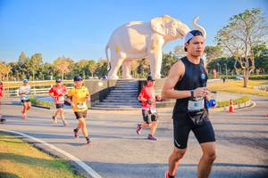 BIB: 
                            <button type="button" onclick="openModal(26186521)" class="btn btn-primary btn-sm float-right btn-popup" data-toggle="modal" data-target=".modal-high-quality">
                        <i class="fas fa-shopping-cart"></i> Add to Cart
                    </button>
                                            <button type="button" onclick="isThisMe(26186521, true)" class="btn btn-success btn-sm float-right btn-popup btn-isme hidden" data-toggle="tooltip" data-placement="bottom" title="นี่คือรูปของคุณใช่ไหม คลิกที่นี่เพื่อเอาเข้าอัลบั้ม">
                        <i class="fas fa-plus"></i> Add to album
                    </button>
                    <button type="button" onclick="isThisMe(26186521, false)" class="btn btn-warning btn-sm float-right btn-popup btn-isnotme hidden">
                        <i class="fas fa-ban"></i> Remove from album
                    </button>