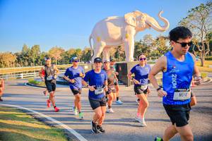 BIB: 
                            <button type="button" onclick="openModal(26186515)" class="btn btn-primary btn-sm float-right btn-popup" data-toggle="modal" data-target=".modal-high-quality">
                        <i class="fas fa-shopping-cart"></i> Add to Cart
                    </button>
                                            <button type="button" onclick="isThisMe(26186515, true)" class="btn btn-success btn-sm float-right btn-popup btn-isme hidden" data-toggle="tooltip" data-placement="bottom" title="นี่คือรูปของคุณใช่ไหม คลิกที่นี่เพื่อเอาเข้าอัลบั้ม">
                        <i class="fas fa-plus"></i> Add to album
                    </button>
                    <button type="button" onclick="isThisMe(26186515, false)" class="btn btn-warning btn-sm float-right btn-popup btn-isnotme hidden">
                        <i class="fas fa-ban"></i> Remove from album
                    </button>