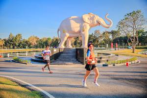 BIB: 
                            <button type="button" onclick="openModal(26186657)" class="btn btn-primary btn-sm float-right btn-popup" data-toggle="modal" data-target=".modal-high-quality">
                        <i class="fas fa-shopping-cart"></i> Add to Cart
                    </button>
                                            <button type="button" onclick="isThisMe(26186657, true)" class="btn btn-success btn-sm float-right btn-popup btn-isme hidden" data-toggle="tooltip" data-placement="bottom" title="นี่คือรูปของคุณใช่ไหม คลิกที่นี่เพื่อเอาเข้าอัลบั้ม">
                        <i class="fas fa-plus"></i> Add to album
                    </button>
                    <button type="button" onclick="isThisMe(26186657, false)" class="btn btn-warning btn-sm float-right btn-popup btn-isnotme hidden">
                        <i class="fas fa-ban"></i> Remove from album
                    </button>