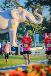 BIB: 
                            <button type="button" onclick="openModal(26183806)" class="btn btn-primary btn-sm float-right btn-popup" data-toggle="modal" data-target=".modal-high-quality">
                        <i class="fas fa-shopping-cart"></i> Add to Cart
                    </button>
                                            <button type="button" onclick="isThisMe(26183806, true)" class="btn btn-success btn-sm float-right btn-popup btn-isme hidden" data-toggle="tooltip" data-placement="bottom" title="นี่คือรูปของคุณใช่ไหม คลิกที่นี่เพื่อเอาเข้าอัลบั้ม">
                        <i class="fas fa-plus"></i> Add to album
                    </button>
                    <button type="button" onclick="isThisMe(26183806, false)" class="btn btn-warning btn-sm float-right btn-popup btn-isnotme hidden">
                        <i class="fas fa-ban"></i> Remove from album
                    </button>