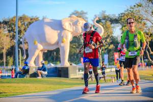 BIB: 
                            <button type="button" onclick="openModal(26183778)" class="btn btn-primary btn-sm float-right btn-popup" data-toggle="modal" data-target=".modal-high-quality">
                        <i class="fas fa-shopping-cart"></i> Add to Cart
                    </button>
                                            <button type="button" onclick="isThisMe(26183778, true)" class="btn btn-success btn-sm float-right btn-popup btn-isme hidden" data-toggle="tooltip" data-placement="bottom" title="นี่คือรูปของคุณใช่ไหม คลิกที่นี่เพื่อเอาเข้าอัลบั้ม">
                        <i class="fas fa-plus"></i> Add to album
                    </button>
                    <button type="button" onclick="isThisMe(26183778, false)" class="btn btn-warning btn-sm float-right btn-popup btn-isnotme hidden">
                        <i class="fas fa-ban"></i> Remove from album
                    </button>