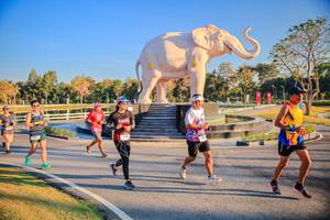 BIB: 
                            <button type="button" onclick="openModal(26186575)" class="btn btn-primary btn-sm float-right btn-popup" data-toggle="modal" data-target=".modal-high-quality">
                        <i class="fas fa-shopping-cart"></i> Add to Cart
                    </button>
                                            <button type="button" onclick="isThisMe(26186575, true)" class="btn btn-success btn-sm float-right btn-popup btn-isme hidden" data-toggle="tooltip" data-placement="bottom" title="นี่คือรูปของคุณใช่ไหม คลิกที่นี่เพื่อเอาเข้าอัลบั้ม">
                        <i class="fas fa-plus"></i> Add to album
                    </button>
                    <button type="button" onclick="isThisMe(26186575, false)" class="btn btn-warning btn-sm float-right btn-popup btn-isnotme hidden">
                        <i class="fas fa-ban"></i> Remove from album
                    </button>