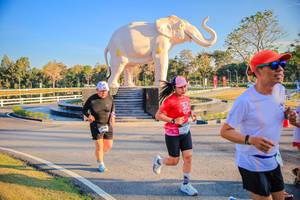 BIB: 
                            <button type="button" onclick="openModal(26186557)" class="btn btn-primary btn-sm float-right btn-popup" data-toggle="modal" data-target=".modal-high-quality">
                        <i class="fas fa-shopping-cart"></i> Add to Cart
                    </button>
                                            <button type="button" onclick="isThisMe(26186557, true)" class="btn btn-success btn-sm float-right btn-popup btn-isme hidden" data-toggle="tooltip" data-placement="bottom" title="นี่คือรูปของคุณใช่ไหม คลิกที่นี่เพื่อเอาเข้าอัลบั้ม">
                        <i class="fas fa-plus"></i> Add to album
                    </button>
                    <button type="button" onclick="isThisMe(26186557, false)" class="btn btn-warning btn-sm float-right btn-popup btn-isnotme hidden">
                        <i class="fas fa-ban"></i> Remove from album
                    </button>