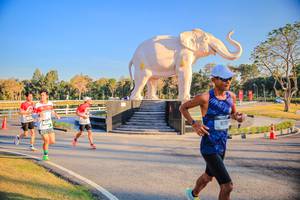 BIB: 
                            <button type="button" onclick="openModal(26186590)" class="btn btn-primary btn-sm float-right btn-popup" data-toggle="modal" data-target=".modal-high-quality">
                        <i class="fas fa-shopping-cart"></i> Add to Cart
                    </button>
                                            <button type="button" onclick="isThisMe(26186590, true)" class="btn btn-success btn-sm float-right btn-popup btn-isme hidden" data-toggle="tooltip" data-placement="bottom" title="นี่คือรูปของคุณใช่ไหม คลิกที่นี่เพื่อเอาเข้าอัลบั้ม">
                        <i class="fas fa-plus"></i> Add to album
                    </button>
                    <button type="button" onclick="isThisMe(26186590, false)" class="btn btn-warning btn-sm float-right btn-popup btn-isnotme hidden">
                        <i class="fas fa-ban"></i> Remove from album
                    </button>