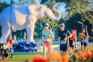 BIB: 
                            <button type="button" onclick="openModal(26183986)" class="btn btn-primary btn-sm float-right btn-popup" data-toggle="modal" data-target=".modal-high-quality">
                        <i class="fas fa-shopping-cart"></i> Add to Cart
                    </button>
                                            <button type="button" onclick="isThisMe(26183986, true)" class="btn btn-success btn-sm float-right btn-popup btn-isme hidden" data-toggle="tooltip" data-placement="bottom" title="นี่คือรูปของคุณใช่ไหม คลิกที่นี่เพื่อเอาเข้าอัลบั้ม">
                        <i class="fas fa-plus"></i> Add to album
                    </button>
                    <button type="button" onclick="isThisMe(26183986, false)" class="btn btn-warning btn-sm float-right btn-popup btn-isnotme hidden">
                        <i class="fas fa-ban"></i> Remove from album
                    </button>