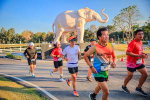 BIB: 
                            <button type="button" onclick="openModal(26186555)" class="btn btn-primary btn-sm float-right btn-popup" data-toggle="modal" data-target=".modal-high-quality">
                        <i class="fas fa-shopping-cart"></i> Add to Cart
                    </button>
                                            <button type="button" onclick="isThisMe(26186555, true)" class="btn btn-success btn-sm float-right btn-popup btn-isme hidden" data-toggle="tooltip" data-placement="bottom" title="นี่คือรูปของคุณใช่ไหม คลิกที่นี่เพื่อเอาเข้าอัลบั้ม">
                        <i class="fas fa-plus"></i> Add to album
                    </button>
                    <button type="button" onclick="isThisMe(26186555, false)" class="btn btn-warning btn-sm float-right btn-popup btn-isnotme hidden">
                        <i class="fas fa-ban"></i> Remove from album
                    </button>