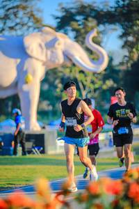 BIB: 
                            <button type="button" onclick="openModal(26183839)" class="btn btn-primary btn-sm float-right btn-popup" data-toggle="modal" data-target=".modal-high-quality">
                        <i class="fas fa-shopping-cart"></i> Add to Cart
                    </button>
                                            <button type="button" onclick="isThisMe(26183839, true)" class="btn btn-success btn-sm float-right btn-popup btn-isme hidden" data-toggle="tooltip" data-placement="bottom" title="นี่คือรูปของคุณใช่ไหม คลิกที่นี่เพื่อเอาเข้าอัลบั้ม">
                        <i class="fas fa-plus"></i> Add to album
                    </button>
                    <button type="button" onclick="isThisMe(26183839, false)" class="btn btn-warning btn-sm float-right btn-popup btn-isnotme hidden">
                        <i class="fas fa-ban"></i> Remove from album
                    </button>