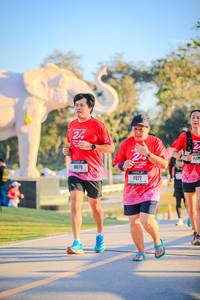 BIB: 
                            <button type="button" onclick="openModal(26183382)" class="btn btn-primary btn-sm float-right btn-popup" data-toggle="modal" data-target=".modal-high-quality">
                        <i class="fas fa-shopping-cart"></i> Add to Cart
                    </button>
                                            <button type="button" onclick="isThisMe(26183382, true)" class="btn btn-success btn-sm float-right btn-popup btn-isme hidden" data-toggle="tooltip" data-placement="bottom" title="นี่คือรูปของคุณใช่ไหม คลิกที่นี่เพื่อเอาเข้าอัลบั้ม">
                        <i class="fas fa-plus"></i> Add to album
                    </button>
                    <button type="button" onclick="isThisMe(26183382, false)" class="btn btn-warning btn-sm float-right btn-popup btn-isnotme hidden">
                        <i class="fas fa-ban"></i> Remove from album
                    </button>