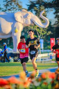 BIB: 
                            <button type="button" onclick="openModal(26183841)" class="btn btn-primary btn-sm float-right btn-popup" data-toggle="modal" data-target=".modal-high-quality">
                        <i class="fas fa-shopping-cart"></i> Add to Cart
                    </button>
                                            <button type="button" onclick="isThisMe(26183841, true)" class="btn btn-success btn-sm float-right btn-popup btn-isme hidden" data-toggle="tooltip" data-placement="bottom" title="นี่คือรูปของคุณใช่ไหม คลิกที่นี่เพื่อเอาเข้าอัลบั้ม">
                        <i class="fas fa-plus"></i> Add to album
                    </button>
                    <button type="button" onclick="isThisMe(26183841, false)" class="btn btn-warning btn-sm float-right btn-popup btn-isnotme hidden">
                        <i class="fas fa-ban"></i> Remove from album
                    </button>