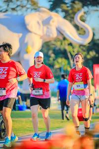 BIB: 
                            <button type="button" onclick="openModal(26183871)" class="btn btn-primary btn-sm float-right btn-popup" data-toggle="modal" data-target=".modal-high-quality">
                        <i class="fas fa-shopping-cart"></i> Add to Cart
                    </button>
                                            <button type="button" onclick="isThisMe(26183871, true)" class="btn btn-success btn-sm float-right btn-popup btn-isme hidden" data-toggle="tooltip" data-placement="bottom" title="นี่คือรูปของคุณใช่ไหม คลิกที่นี่เพื่อเอาเข้าอัลบั้ม">
                        <i class="fas fa-plus"></i> Add to album
                    </button>
                    <button type="button" onclick="isThisMe(26183871, false)" class="btn btn-warning btn-sm float-right btn-popup btn-isnotme hidden">
                        <i class="fas fa-ban"></i> Remove from album
                    </button>