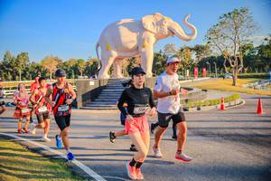 BIB: 
                            <button type="button" onclick="openModal(26186547)" class="btn btn-primary btn-sm float-right btn-popup" data-toggle="modal" data-target=".modal-high-quality">
                        <i class="fas fa-shopping-cart"></i> Add to Cart
                    </button>
                                            <button type="button" onclick="isThisMe(26186547, true)" class="btn btn-success btn-sm float-right btn-popup btn-isme hidden" data-toggle="tooltip" data-placement="bottom" title="นี่คือรูปของคุณใช่ไหม คลิกที่นี่เพื่อเอาเข้าอัลบั้ม">
                        <i class="fas fa-plus"></i> Add to album
                    </button>
                    <button type="button" onclick="isThisMe(26186547, false)" class="btn btn-warning btn-sm float-right btn-popup btn-isnotme hidden">
                        <i class="fas fa-ban"></i> Remove from album
                    </button>