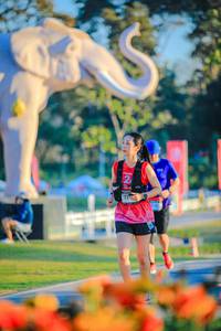 BIB: 
                            <button type="button" onclick="openModal(26183810)" class="btn btn-primary btn-sm float-right btn-popup" data-toggle="modal" data-target=".modal-high-quality">
                        <i class="fas fa-shopping-cart"></i> Add to Cart
                    </button>
                                            <button type="button" onclick="isThisMe(26183810, true)" class="btn btn-success btn-sm float-right btn-popup btn-isme hidden" data-toggle="tooltip" data-placement="bottom" title="นี่คือรูปของคุณใช่ไหม คลิกที่นี่เพื่อเอาเข้าอัลบั้ม">
                        <i class="fas fa-plus"></i> Add to album
                    </button>
                    <button type="button" onclick="isThisMe(26183810, false)" class="btn btn-warning btn-sm float-right btn-popup btn-isnotme hidden">
                        <i class="fas fa-ban"></i> Remove from album
                    </button>