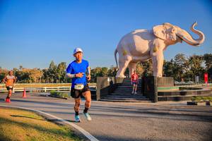 BIB: 
                            <button type="button" onclick="openModal(26186363)" class="btn btn-primary btn-sm float-right btn-popup" data-toggle="modal" data-target=".modal-high-quality">
                        <i class="fas fa-shopping-cart"></i> Add to Cart
                    </button>
                                            <button type="button" onclick="isThisMe(26186363, true)" class="btn btn-success btn-sm float-right btn-popup btn-isme hidden" data-toggle="tooltip" data-placement="bottom" title="นี่คือรูปของคุณใช่ไหม คลิกที่นี่เพื่อเอาเข้าอัลบั้ม">
                        <i class="fas fa-plus"></i> Add to album
                    </button>
                    <button type="button" onclick="isThisMe(26186363, false)" class="btn btn-warning btn-sm float-right btn-popup btn-isnotme hidden">
                        <i class="fas fa-ban"></i> Remove from album
                    </button>