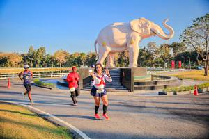 BIB: 
                            <button type="button" onclick="openModal(26186587)" class="btn btn-primary btn-sm float-right btn-popup" data-toggle="modal" data-target=".modal-high-quality">
                        <i class="fas fa-shopping-cart"></i> Add to Cart
                    </button>
                                            <button type="button" onclick="isThisMe(26186587, true)" class="btn btn-success btn-sm float-right btn-popup btn-isme hidden" data-toggle="tooltip" data-placement="bottom" title="นี่คือรูปของคุณใช่ไหม คลิกที่นี่เพื่อเอาเข้าอัลบั้ม">
                        <i class="fas fa-plus"></i> Add to album
                    </button>
                    <button type="button" onclick="isThisMe(26186587, false)" class="btn btn-warning btn-sm float-right btn-popup btn-isnotme hidden">
                        <i class="fas fa-ban"></i> Remove from album
                    </button>