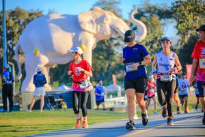 BIB: 
                            <button type="button" onclick="openModal(26183617)" class="btn btn-primary btn-sm float-right btn-popup" data-toggle="modal" data-target=".modal-high-quality">
                        <i class="fas fa-shopping-cart"></i> Add to Cart
                    </button>
                                            <button type="button" onclick="isThisMe(26183617, true)" class="btn btn-success btn-sm float-right btn-popup btn-isme hidden" data-toggle="tooltip" data-placement="bottom" title="นี่คือรูปของคุณใช่ไหม คลิกที่นี่เพื่อเอาเข้าอัลบั้ม">
                        <i class="fas fa-plus"></i> Add to album
                    </button>
                    <button type="button" onclick="isThisMe(26183617, false)" class="btn btn-warning btn-sm float-right btn-popup btn-isnotme hidden">
                        <i class="fas fa-ban"></i> Remove from album
                    </button>