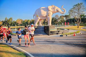 BIB: 
                            <button type="button" onclick="openModal(26186544)" class="btn btn-primary btn-sm float-right btn-popup" data-toggle="modal" data-target=".modal-high-quality">
                        <i class="fas fa-shopping-cart"></i> Add to Cart
                    </button>
                                            <button type="button" onclick="isThisMe(26186544, true)" class="btn btn-success btn-sm float-right btn-popup btn-isme hidden" data-toggle="tooltip" data-placement="bottom" title="นี่คือรูปของคุณใช่ไหม คลิกที่นี่เพื่อเอาเข้าอัลบั้ม">
                        <i class="fas fa-plus"></i> Add to album
                    </button>
                    <button type="button" onclick="isThisMe(26186544, false)" class="btn btn-warning btn-sm float-right btn-popup btn-isnotme hidden">
                        <i class="fas fa-ban"></i> Remove from album
                    </button>