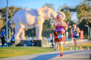 BIB: 
                            <button type="button" onclick="openModal(26183713)" class="btn btn-primary btn-sm float-right btn-popup" data-toggle="modal" data-target=".modal-high-quality">
                        <i class="fas fa-shopping-cart"></i> Add to Cart
                    </button>
                                            <button type="button" onclick="isThisMe(26183713, true)" class="btn btn-success btn-sm float-right btn-popup btn-isme hidden" data-toggle="tooltip" data-placement="bottom" title="นี่คือรูปของคุณใช่ไหม คลิกที่นี่เพื่อเอาเข้าอัลบั้ม">
                        <i class="fas fa-plus"></i> Add to album
                    </button>
                    <button type="button" onclick="isThisMe(26183713, false)" class="btn btn-warning btn-sm float-right btn-popup btn-isnotme hidden">
                        <i class="fas fa-ban"></i> Remove from album
                    </button>