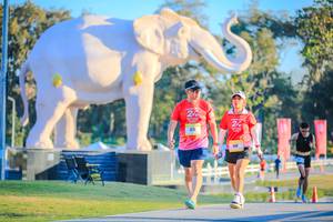 BIB: 
                            <button type="button" onclick="openModal(26183426)" class="btn btn-primary btn-sm float-right btn-popup" data-toggle="modal" data-target=".modal-high-quality">
                        <i class="fas fa-shopping-cart"></i> Add to Cart
                    </button>
                                            <button type="button" onclick="isThisMe(26183426, true)" class="btn btn-success btn-sm float-right btn-popup btn-isme hidden" data-toggle="tooltip" data-placement="bottom" title="นี่คือรูปของคุณใช่ไหม คลิกที่นี่เพื่อเอาเข้าอัลบั้ม">
                        <i class="fas fa-plus"></i> Add to album
                    </button>
                    <button type="button" onclick="isThisMe(26183426, false)" class="btn btn-warning btn-sm float-right btn-popup btn-isnotme hidden">
                        <i class="fas fa-ban"></i> Remove from album
                    </button>