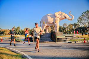 BIB: 
                            <button type="button" onclick="openModal(26186473)" class="btn btn-primary btn-sm float-right btn-popup" data-toggle="modal" data-target=".modal-high-quality">
                        <i class="fas fa-shopping-cart"></i> Add to Cart
                    </button>
                                            <button type="button" onclick="isThisMe(26186473, true)" class="btn btn-success btn-sm float-right btn-popup btn-isme hidden" data-toggle="tooltip" data-placement="bottom" title="นี่คือรูปของคุณใช่ไหม คลิกที่นี่เพื่อเอาเข้าอัลบั้ม">
                        <i class="fas fa-plus"></i> Add to album
                    </button>
                    <button type="button" onclick="isThisMe(26186473, false)" class="btn btn-warning btn-sm float-right btn-popup btn-isnotme hidden">
                        <i class="fas fa-ban"></i> Remove from album
                    </button>