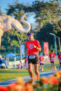 BIB: 
                            <button type="button" onclick="openModal(26183863)" class="btn btn-primary btn-sm float-right btn-popup" data-toggle="modal" data-target=".modal-high-quality">
                        <i class="fas fa-shopping-cart"></i> Add to Cart
                    </button>
                                            <button type="button" onclick="isThisMe(26183863, true)" class="btn btn-success btn-sm float-right btn-popup btn-isme hidden" data-toggle="tooltip" data-placement="bottom" title="นี่คือรูปของคุณใช่ไหม คลิกที่นี่เพื่อเอาเข้าอัลบั้ม">
                        <i class="fas fa-plus"></i> Add to album
                    </button>
                    <button type="button" onclick="isThisMe(26183863, false)" class="btn btn-warning btn-sm float-right btn-popup btn-isnotme hidden">
                        <i class="fas fa-ban"></i> Remove from album
                    </button>