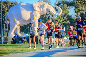 BIB: 
                            <button type="button" onclick="openModal(26183637)" class="btn btn-primary btn-sm float-right btn-popup" data-toggle="modal" data-target=".modal-high-quality">
                        <i class="fas fa-shopping-cart"></i> Add to Cart
                    </button>
                                            <button type="button" onclick="isThisMe(26183637, true)" class="btn btn-success btn-sm float-right btn-popup btn-isme hidden" data-toggle="tooltip" data-placement="bottom" title="นี่คือรูปของคุณใช่ไหม คลิกที่นี่เพื่อเอาเข้าอัลบั้ม">
                        <i class="fas fa-plus"></i> Add to album
                    </button>
                    <button type="button" onclick="isThisMe(26183637, false)" class="btn btn-warning btn-sm float-right btn-popup btn-isnotme hidden">
                        <i class="fas fa-ban"></i> Remove from album
                    </button>