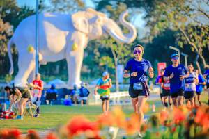 BIB: 
                            <button type="button" onclick="openModal(26184017)" class="btn btn-primary btn-sm float-right btn-popup" data-toggle="modal" data-target=".modal-high-quality">
                        <i class="fas fa-shopping-cart"></i> Add to Cart
                    </button>
                                            <button type="button" onclick="isThisMe(26184017, true)" class="btn btn-success btn-sm float-right btn-popup btn-isme hidden" data-toggle="tooltip" data-placement="bottom" title="นี่คือรูปของคุณใช่ไหม คลิกที่นี่เพื่อเอาเข้าอัลบั้ม">
                        <i class="fas fa-plus"></i> Add to album
                    </button>
                    <button type="button" onclick="isThisMe(26184017, false)" class="btn btn-warning btn-sm float-right btn-popup btn-isnotme hidden">
                        <i class="fas fa-ban"></i> Remove from album
                    </button>