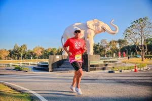 BIB: 
                            <button type="button" onclick="openModal(26186492)" class="btn btn-primary btn-sm float-right btn-popup" data-toggle="modal" data-target=".modal-high-quality">
                        <i class="fas fa-shopping-cart"></i> Add to Cart
                    </button>
                                            <button type="button" onclick="isThisMe(26186492, true)" class="btn btn-success btn-sm float-right btn-popup btn-isme hidden" data-toggle="tooltip" data-placement="bottom" title="นี่คือรูปของคุณใช่ไหม คลิกที่นี่เพื่อเอาเข้าอัลบั้ม">
                        <i class="fas fa-plus"></i> Add to album
                    </button>
                    <button type="button" onclick="isThisMe(26186492, false)" class="btn btn-warning btn-sm float-right btn-popup btn-isnotme hidden">
                        <i class="fas fa-ban"></i> Remove from album
                    </button>