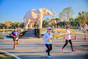 BIB: 
                            <button type="button" onclick="openModal(26186625)" class="btn btn-primary btn-sm float-right btn-popup" data-toggle="modal" data-target=".modal-high-quality">
                        <i class="fas fa-shopping-cart"></i> Add to Cart
                    </button>
                                            <button type="button" onclick="isThisMe(26186625, true)" class="btn btn-success btn-sm float-right btn-popup btn-isme hidden" data-toggle="tooltip" data-placement="bottom" title="นี่คือรูปของคุณใช่ไหม คลิกที่นี่เพื่อเอาเข้าอัลบั้ม">
                        <i class="fas fa-plus"></i> Add to album
                    </button>
                    <button type="button" onclick="isThisMe(26186625, false)" class="btn btn-warning btn-sm float-right btn-popup btn-isnotme hidden">
                        <i class="fas fa-ban"></i> Remove from album
                    </button>