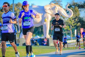 BIB: 
                            <button type="button" onclick="openModal(26183610)" class="btn btn-primary btn-sm float-right btn-popup" data-toggle="modal" data-target=".modal-high-quality">
                        <i class="fas fa-shopping-cart"></i> Add to Cart
                    </button>
                                            <button type="button" onclick="isThisMe(26183610, true)" class="btn btn-success btn-sm float-right btn-popup btn-isme hidden" data-toggle="tooltip" data-placement="bottom" title="นี่คือรูปของคุณใช่ไหม คลิกที่นี่เพื่อเอาเข้าอัลบั้ม">
                        <i class="fas fa-plus"></i> Add to album
                    </button>
                    <button type="button" onclick="isThisMe(26183610, false)" class="btn btn-warning btn-sm float-right btn-popup btn-isnotme hidden">
                        <i class="fas fa-ban"></i> Remove from album
                    </button>