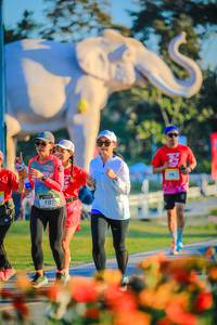 BIB: 
                            <button type="button" onclick="openModal(26183805)" class="btn btn-primary btn-sm float-right btn-popup" data-toggle="modal" data-target=".modal-high-quality">
                        <i class="fas fa-shopping-cart"></i> Add to Cart
                    </button>
                                            <button type="button" onclick="isThisMe(26183805, true)" class="btn btn-success btn-sm float-right btn-popup btn-isme hidden" data-toggle="tooltip" data-placement="bottom" title="นี่คือรูปของคุณใช่ไหม คลิกที่นี่เพื่อเอาเข้าอัลบั้ม">
                        <i class="fas fa-plus"></i> Add to album
                    </button>
                    <button type="button" onclick="isThisMe(26183805, false)" class="btn btn-warning btn-sm float-right btn-popup btn-isnotme hidden">
                        <i class="fas fa-ban"></i> Remove from album
                    </button>