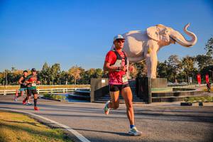 BIB: 
                            <button type="button" onclick="openModal(26186379)" class="btn btn-primary btn-sm float-right btn-popup" data-toggle="modal" data-target=".modal-high-quality">
                        <i class="fas fa-shopping-cart"></i> Add to Cart
                    </button>
                                            <button type="button" onclick="isThisMe(26186379, true)" class="btn btn-success btn-sm float-right btn-popup btn-isme hidden" data-toggle="tooltip" data-placement="bottom" title="นี่คือรูปของคุณใช่ไหม คลิกที่นี่เพื่อเอาเข้าอัลบั้ม">
                        <i class="fas fa-plus"></i> Add to album
                    </button>
                    <button type="button" onclick="isThisMe(26186379, false)" class="btn btn-warning btn-sm float-right btn-popup btn-isnotme hidden">
                        <i class="fas fa-ban"></i> Remove from album
                    </button>