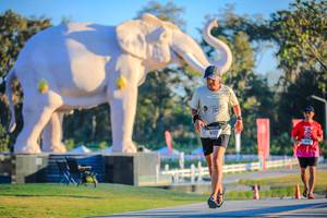 BIB: 
                            <button type="button" onclick="openModal(26183550)" class="btn btn-primary btn-sm float-right btn-popup" data-toggle="modal" data-target=".modal-high-quality">
                        <i class="fas fa-shopping-cart"></i> Add to Cart
                    </button>
                                            <button type="button" onclick="isThisMe(26183550, true)" class="btn btn-success btn-sm float-right btn-popup btn-isme hidden" data-toggle="tooltip" data-placement="bottom" title="นี่คือรูปของคุณใช่ไหม คลิกที่นี่เพื่อเอาเข้าอัลบั้ม">
                        <i class="fas fa-plus"></i> Add to album
                    </button>
                    <button type="button" onclick="isThisMe(26183550, false)" class="btn btn-warning btn-sm float-right btn-popup btn-isnotme hidden">
                        <i class="fas fa-ban"></i> Remove from album
                    </button>