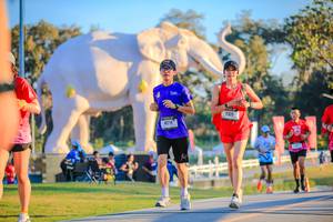 BIB: 
                            <button type="button" onclick="openModal(26183629)" class="btn btn-primary btn-sm float-right btn-popup" data-toggle="modal" data-target=".modal-high-quality">
                        <i class="fas fa-shopping-cart"></i> Add to Cart
                    </button>
                                            <button type="button" onclick="isThisMe(26183629, true)" class="btn btn-success btn-sm float-right btn-popup btn-isme hidden" data-toggle="tooltip" data-placement="bottom" title="นี่คือรูปของคุณใช่ไหม คลิกที่นี่เพื่อเอาเข้าอัลบั้ม">
                        <i class="fas fa-plus"></i> Add to album
                    </button>
                    <button type="button" onclick="isThisMe(26183629, false)" class="btn btn-warning btn-sm float-right btn-popup btn-isnotme hidden">
                        <i class="fas fa-ban"></i> Remove from album
                    </button>