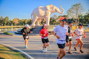 BIB: 
                            <button type="button" onclick="openModal(26186558)" class="btn btn-primary btn-sm float-right btn-popup" data-toggle="modal" data-target=".modal-high-quality">
                        <i class="fas fa-shopping-cart"></i> Add to Cart
                    </button>
                                            <button type="button" onclick="isThisMe(26186558, true)" class="btn btn-success btn-sm float-right btn-popup btn-isme hidden" data-toggle="tooltip" data-placement="bottom" title="นี่คือรูปของคุณใช่ไหม คลิกที่นี่เพื่อเอาเข้าอัลบั้ม">
                        <i class="fas fa-plus"></i> Add to album
                    </button>
                    <button type="button" onclick="isThisMe(26186558, false)" class="btn btn-warning btn-sm float-right btn-popup btn-isnotme hidden">
                        <i class="fas fa-ban"></i> Remove from album
                    </button>