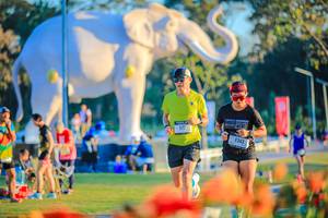 BIB: 
                            <button type="button" onclick="openModal(26183999)" class="btn btn-primary btn-sm float-right btn-popup" data-toggle="modal" data-target=".modal-high-quality">
                        <i class="fas fa-shopping-cart"></i> Add to Cart
                    </button>
                                            <button type="button" onclick="isThisMe(26183999, true)" class="btn btn-success btn-sm float-right btn-popup btn-isme hidden" data-toggle="tooltip" data-placement="bottom" title="นี่คือรูปของคุณใช่ไหม คลิกที่นี่เพื่อเอาเข้าอัลบั้ม">
                        <i class="fas fa-plus"></i> Add to album
                    </button>
                    <button type="button" onclick="isThisMe(26183999, false)" class="btn btn-warning btn-sm float-right btn-popup btn-isnotme hidden">
                        <i class="fas fa-ban"></i> Remove from album
                    </button>