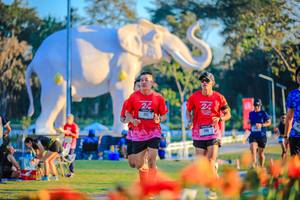 BIB: 
                            <button type="button" onclick="openModal(26184012)" class="btn btn-primary btn-sm float-right btn-popup" data-toggle="modal" data-target=".modal-high-quality">
                        <i class="fas fa-shopping-cart"></i> Add to Cart
                    </button>
                                            <button type="button" onclick="isThisMe(26184012, true)" class="btn btn-success btn-sm float-right btn-popup btn-isme hidden" data-toggle="tooltip" data-placement="bottom" title="นี่คือรูปของคุณใช่ไหม คลิกที่นี่เพื่อเอาเข้าอัลบั้ม">
                        <i class="fas fa-plus"></i> Add to album
                    </button>
                    <button type="button" onclick="isThisMe(26184012, false)" class="btn btn-warning btn-sm float-right btn-popup btn-isnotme hidden">
                        <i class="fas fa-ban"></i> Remove from album
                    </button>