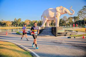 BIB: 
                            <button type="button" onclick="openModal(26186603)" class="btn btn-primary btn-sm float-right btn-popup" data-toggle="modal" data-target=".modal-high-quality">
                        <i class="fas fa-shopping-cart"></i> Add to Cart
                    </button>
                                            <button type="button" onclick="isThisMe(26186603, true)" class="btn btn-success btn-sm float-right btn-popup btn-isme hidden" data-toggle="tooltip" data-placement="bottom" title="นี่คือรูปของคุณใช่ไหม คลิกที่นี่เพื่อเอาเข้าอัลบั้ม">
                        <i class="fas fa-plus"></i> Add to album
                    </button>
                    <button type="button" onclick="isThisMe(26186603, false)" class="btn btn-warning btn-sm float-right btn-popup btn-isnotme hidden">
                        <i class="fas fa-ban"></i> Remove from album
                    </button>