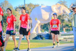 BIB: 
                            <button type="button" onclick="openModal(26183413)" class="btn btn-primary btn-sm float-right btn-popup" data-toggle="modal" data-target=".modal-high-quality">
                        <i class="fas fa-shopping-cart"></i> Add to Cart
                    </button>
                                            <button type="button" onclick="isThisMe(26183413, true)" class="btn btn-success btn-sm float-right btn-popup btn-isme hidden" data-toggle="tooltip" data-placement="bottom" title="นี่คือรูปของคุณใช่ไหม คลิกที่นี่เพื่อเอาเข้าอัลบั้ม">
                        <i class="fas fa-plus"></i> Add to album
                    </button>
                    <button type="button" onclick="isThisMe(26183413, false)" class="btn btn-warning btn-sm float-right btn-popup btn-isnotme hidden">
                        <i class="fas fa-ban"></i> Remove from album
                    </button>