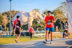 BIB: 
                            <button type="button" onclick="openModal(26183510)" class="btn btn-primary btn-sm float-right btn-popup" data-toggle="modal" data-target=".modal-high-quality">
                        <i class="fas fa-shopping-cart"></i> Add to Cart
                    </button>
                                            <button type="button" onclick="isThisMe(26183510, true)" class="btn btn-success btn-sm float-right btn-popup btn-isme hidden" data-toggle="tooltip" data-placement="bottom" title="นี่คือรูปของคุณใช่ไหม คลิกที่นี่เพื่อเอาเข้าอัลบั้ม">
                        <i class="fas fa-plus"></i> Add to album
                    </button>
                    <button type="button" onclick="isThisMe(26183510, false)" class="btn btn-warning btn-sm float-right btn-popup btn-isnotme hidden">
                        <i class="fas fa-ban"></i> Remove from album
                    </button>