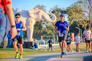 BIB: 
                            <button type="button" onclick="openModal(26183652)" class="btn btn-primary btn-sm float-right btn-popup" data-toggle="modal" data-target=".modal-high-quality">
                        <i class="fas fa-shopping-cart"></i> Add to Cart
                    </button>
                                            <button type="button" onclick="isThisMe(26183652, true)" class="btn btn-success btn-sm float-right btn-popup btn-isme hidden" data-toggle="tooltip" data-placement="bottom" title="นี่คือรูปของคุณใช่ไหม คลิกที่นี่เพื่อเอาเข้าอัลบั้ม">
                        <i class="fas fa-plus"></i> Add to album
                    </button>
                    <button type="button" onclick="isThisMe(26183652, false)" class="btn btn-warning btn-sm float-right btn-popup btn-isnotme hidden">
                        <i class="fas fa-ban"></i> Remove from album
                    </button>